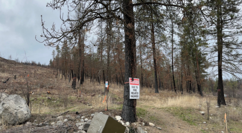 Wildfire restoration work starts in Stephens Coyote Ridge Regional Park